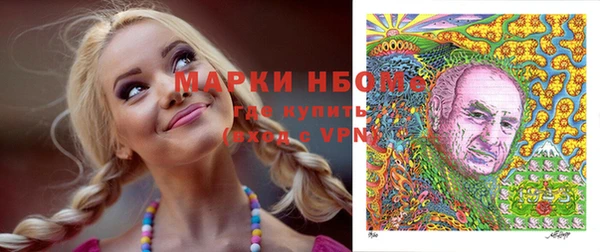 твердый Карпинск